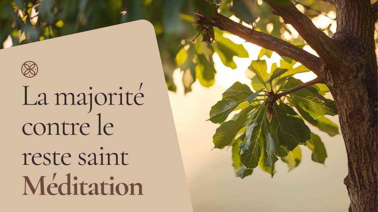 La majorité contre le reste saint La majorité contre le reste saint
