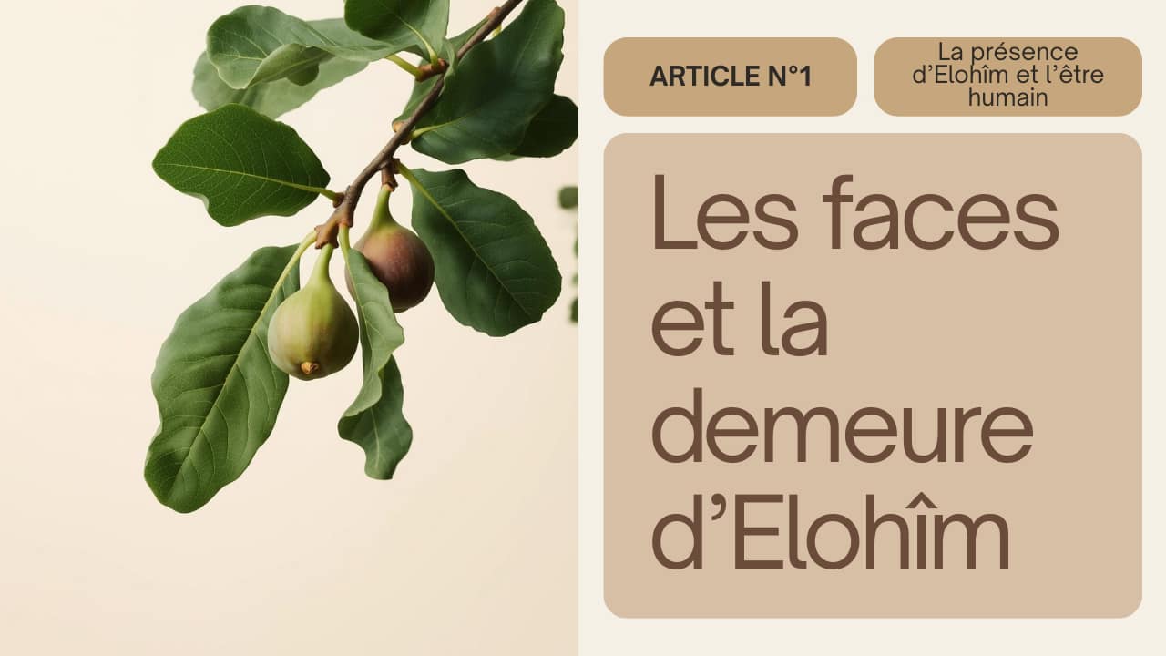 Les faces et la demeure d’Elohîm Les faces et la demeure d’Elohîm