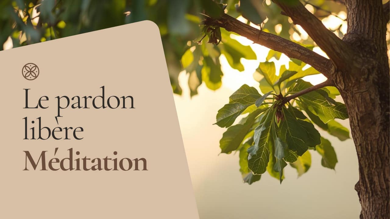 Le Pardon Libère Le Pardon Libère